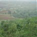 Barol