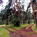 forest reserve of Algeti