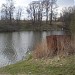 Пруд в городе Щёлково