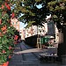 Stragany z kwiatami in Toruń city