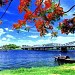 S Hương trong Thành phố Huế thành phố
