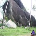 Whale Rock