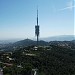 برج كولسيرولا