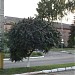 Золочевский районный отдел Управления МВД в Харьковской области в городе Золочев