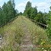 Zaplyusskiy railway viaduct