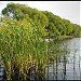 Pond of Aviatorov park