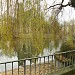 Feuersee in Stuttgart city