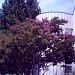 Читалище „Иван Вазов