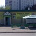 Кафе «Зимний сад» в городе Москва