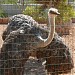 Paphos Zoo