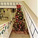 Assis Plaza Shoping. na Assis city