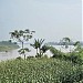 Bãi bồi Ngã ba Phương Trà trong Thành phố Hưng Yên  thành phố