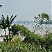Bãi bồi Ngã ba Phương Trà trong Thành phố Hưng Yên  thành phố