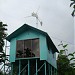 Wind Turbine Green House