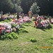 Martyrs' Cemetery