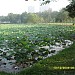 Wachirabenchatat Park