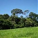  Bosque do Pama (pt) in Goiânia city