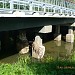 Tolbitsa's bridge «Startseva»