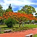 Plaza Sáenz Peña en la ciudad de Paraná