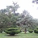 Plaza Sáenz Peña en la ciudad de Paraná