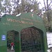 Мусульманский участок Кузьминского кладбища в городе Москва