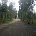 Центральный парк в городе Яровое