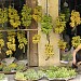 Chợ Cồn