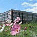 Школа № 32 в городе Белово
