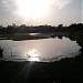 Gulistan-E-Syed in Aligarh city