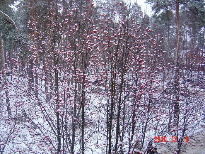 11 городская клиническая больница отзывы