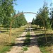 Парк каменных скульптур 