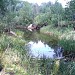 Красное озеро в городе Заречный