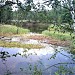 Красное озеро в городе Заречный