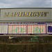 Железнодорожная платформа Мариенбург в городе Гатчина