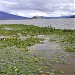 Patzcuaro Lake