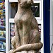 Скульптура кошки в городе Могилёв