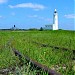 Hurst Point lighthouse