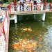Hồ Cá Chép (vi) in Ho Chi Minh City city