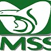 HGZ No. 11 IMSS