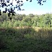 Поляна в лесу в городе Москва