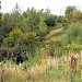 Часть оврага, отделённая теплотрассой в городе Москва