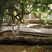 JARDIN 5 JUILLET dans la ville de Biskra