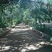 JARDIN 5 JUILLET dans la ville de Biskra
