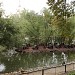 Smaller pond of Moscow Zoo