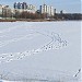 Святошинское озеро в городе Киев