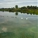 Озеро (ru) in Клімавічы city