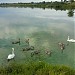 Озеро (ru) in Клімавічы city