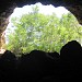 Skotino Cave and the Church of Agia Paraskevi