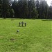 German soldiers´ cemetery in Toila