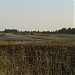 Oru peat fields
